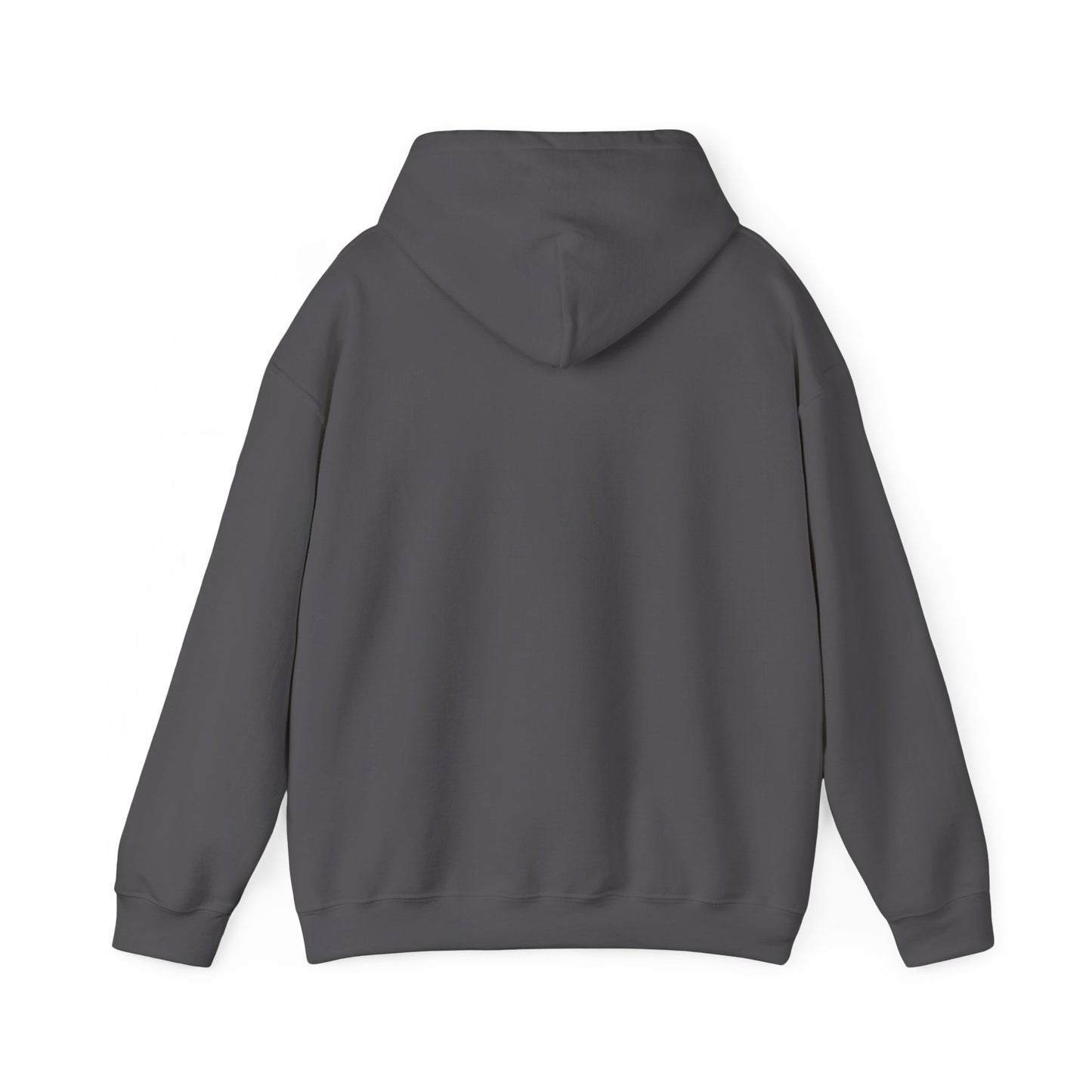 Hooded Sweatshirt Unisex Hoodie - Algiers, Algeria